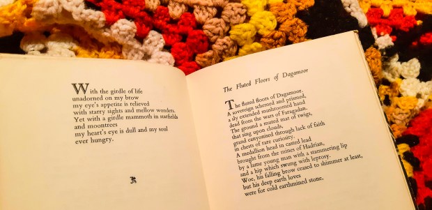 54515819_292011435024580_3925102811460665344_n